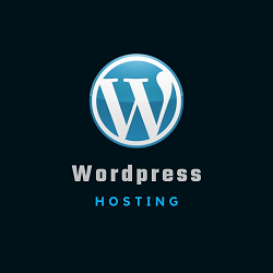 12 Month Website Hosting